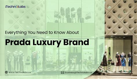 roi luxury brands ferragamo moncler prada cucinelli|Everything You Need to Know About Luxury Brands' Financial .